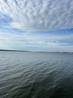 Центральна (с. Горбасов, Летичевский район) - Продається сільськогосподарська ділянка, 500 $ за сотку - АФНУ